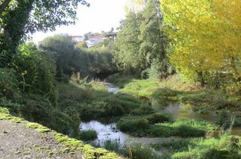 La maleza come buena parte del lecho del río, a la altura del barrio de A Noria.
