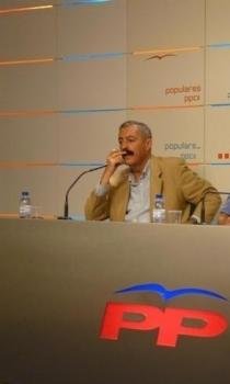 Vicente Ferrer, Diputado Del PP
