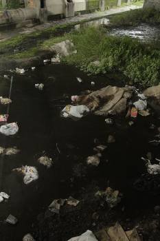 Bolsas de basura acumuladas en la desembocadura del Barbaña. (Foto: M. ÁNGEL)