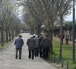 Un grupo de ancianos pasea por un parque