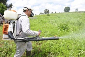 Un hombre dispersa un plaguicida químico en un campo. (Foto: ARCHIVO)