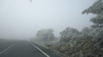 Imagen que presentaba ayer el Alto das Estivadas. La densa niebla y los árboles cubiertos de hielo. (Foto: A. R.)