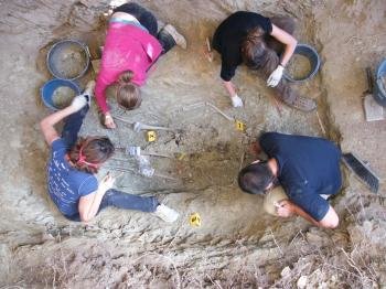 Exhumación de los restos de los tres guerrilleiros, en Vilavella (Lugo).