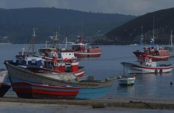  Barcos pesqueros en un puerto coruñés