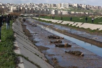 Sirios observan los cadáveres que aparecieron en un pequeño canal situado en un barrio de Alepo bajo control del Gobierno