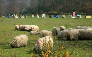 Parte del rebaño de ovejas de la raza latxa en el espacio del artista vasco Agustín Ibarrola. (Foto: MARCOS ATRIO)