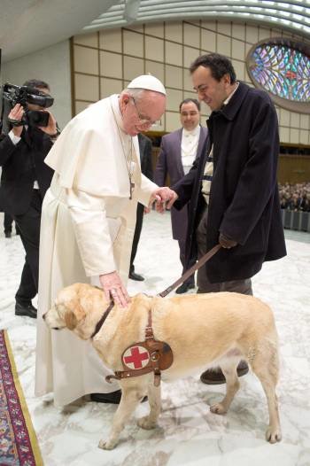 El papa acaricia a un perro lazarillo durante su cita con la prensa.  (Foto: V. XHEMAJ)
