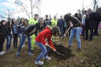 Escolares do Carballiño plantando cerdeiras e olivos,na Insua dos Poetas. (Foto: Martiño Pinal)