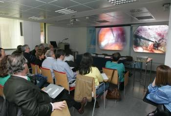 Los asistentes a la jornada observan en dos pantallas el desarrollo de la operación en el quirófano.  (Foto: MARCOS ATRIO)