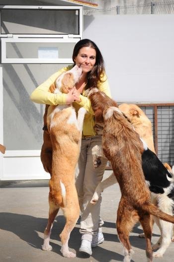 María del Campo, recibe 'achuchones' de varios perros. (Foto: Martiño Pinal)