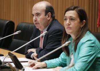 El secretario de Política Municipal del PSOE, Gaspar Zarrías y la portavoz socialista en el Congreso, Soraya Rodríguez.