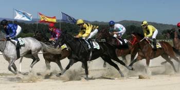 Los caballos, ayer en plena pelea por la victoria en el hipódromo de Antela. (Foto: MARCOS ATRIO)