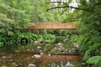 Pequeño puente de madera sobre el río Mandeo, en la zona declarara ayer Reserva de la Biosfera.