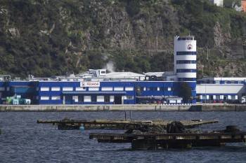 Factoría de la compañía Pescanova en Chapela (Redondela). (Foto: ARCHIVO)