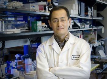 El japonés Yamanaka, galardonado en 2012 con el Nobel de Medicina, es pionero en esta investigación.