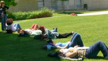 Un grupo de jóvenes duerme la siesta en un parque. (Foto: ARCHIVO)