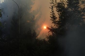 Imagen del incendio forestal del Cañón do Sil (Foto: EFE)