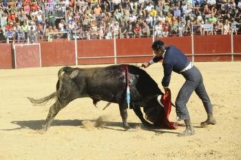 El torero Sebastián Palomo Linares -hijo-, en plena faena. (Foto: Martiño Pinal)