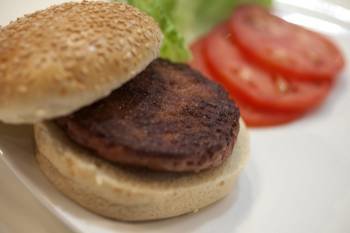Imagen de la primera hamburguesa creada artificialmente. (Foto: DAVID PARRY)