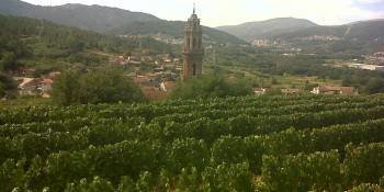 Un viñedo de O Ribeiro, ejemplo de desarrollo rural. (Foto: ARCHIVO)