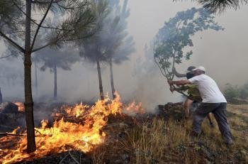 Vecinos de Vilamartín atacan las llamas (Foto: Brais Lorenzo)