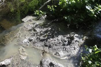Imagen del nuevo vertido que sufre el río Barbaña y que se encuentra situado en un punto intermedio entre el barrio de Mariñamansa y Seixalbo. (Foto: MIGUEL ÁNGEL)