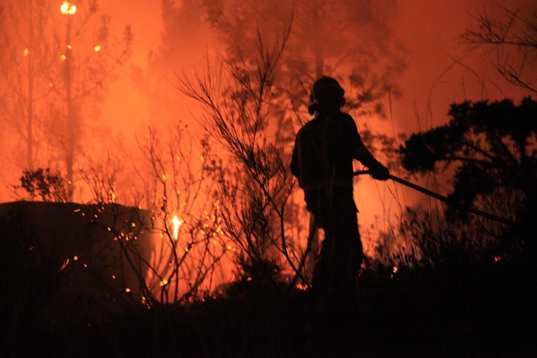 Imagen del incendio iniciado ayer en Montealegre (Foto: José Paz)