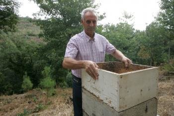 José Camilo Fariñas Viso, preparando las colmenas porque es un gran aficionado a la apicultura. (Foto: Marcos Atrio)