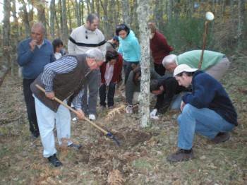 Asistentes a las actividades de microrrización de pinos de 2012, en A Veiga.