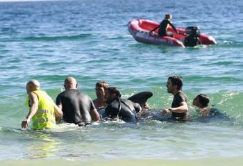Varias personas rodean a uno de los ejemplares rescatados del arenal y devuelto al mar. (Foto: KIKO DELGADO)
