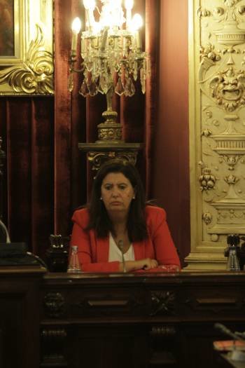 Marga Martín, en el último pleno. (Foto: MIGUÉL ÁNGEL)