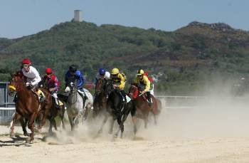 Los caballos en una de las carreras del 24 de mayo pasado. (Foto: MARCOS ATRIO)