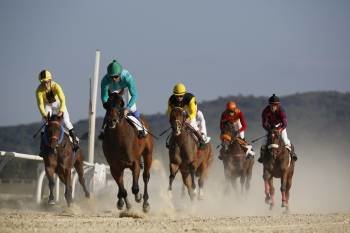 Jinetes y caballos, en pleno sprint por la victoria en una de las cinco carreras del programa. (Foto: XESÚS FARIÑAS)