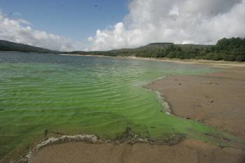 Estado de las aguas del embalse de As Conchas el pasado 4 de octubre. (Foto: MARCOS ATRIO)