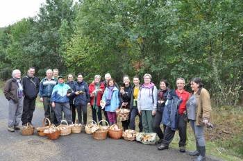 Un grupo de participantes en las Xornadas Micolóxicas de A Veiga. (Foto: J.C.)