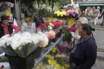 Establecimiento de venta de flores en la Plaza de Abastos de Ourense. (Foto: MIGUEL ÁNGEL)