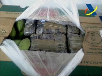 La droga estaba oculta en paquetes dentro de cajas que contenían también plátanos. (Foto: AGENCIA TRIBUTARIA)