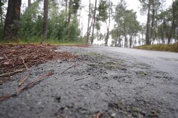 La carretera de Vilar de Rei es una de las afectadas por las raíces de los pinos. (Foto: MARTIÑO PINAL)