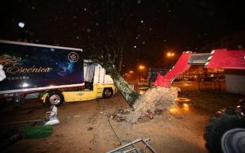 Un árbol caído sobre un camión, en Vigo, donde las incidencias fueron numerosas. (Foto: Alberte)