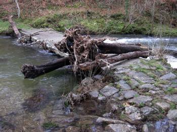  Los troncos y maleza se acumulan en A Ponte das Poldras de Brués.