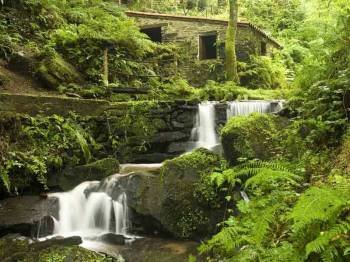 Entorno natural en la nueva Reserva de la Biosfera gallega
