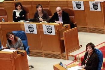 Rocío Mosquera, durante el debate en el Parlamento. (Foto: VICENTE PERNÍA)