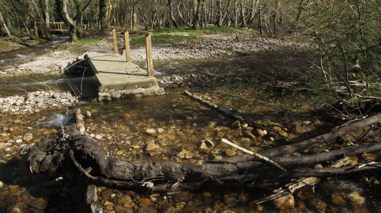 Aspecto del área recreativa de O Inquián, a orillas del río Arnoia. ( MIGUEL ÁNGEL)