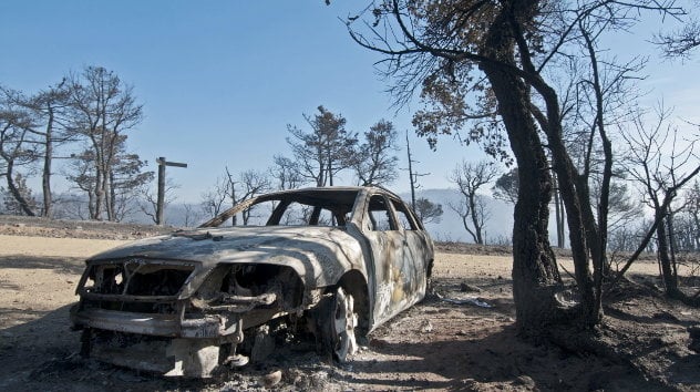 Aspecto de los efectos del fuego que ha afectado al bosque del Baix Empordà 