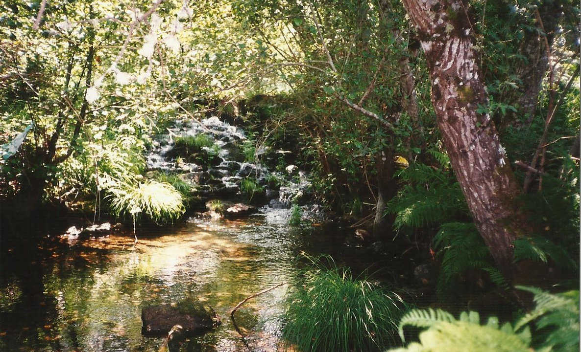 Parte del naciente del río Támega en Laza, donde está proryectado el parque de aventura