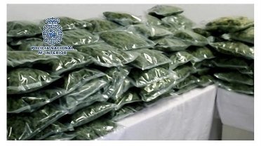 Imágenes facilitadas por la Policía Nacional que ha incautado 110 kilos de cogollos de marihuana