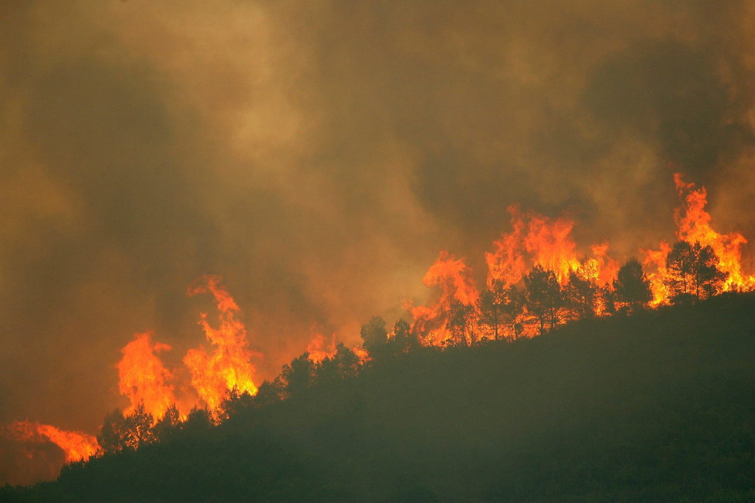  El incendio declarado el pasado domingo en Tivissa ha calcinado ya 603 hectáreas de vegetación