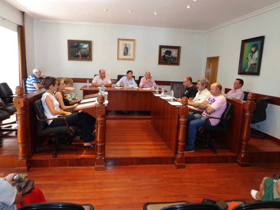 Pleno de la Corporación municipal de Viana.