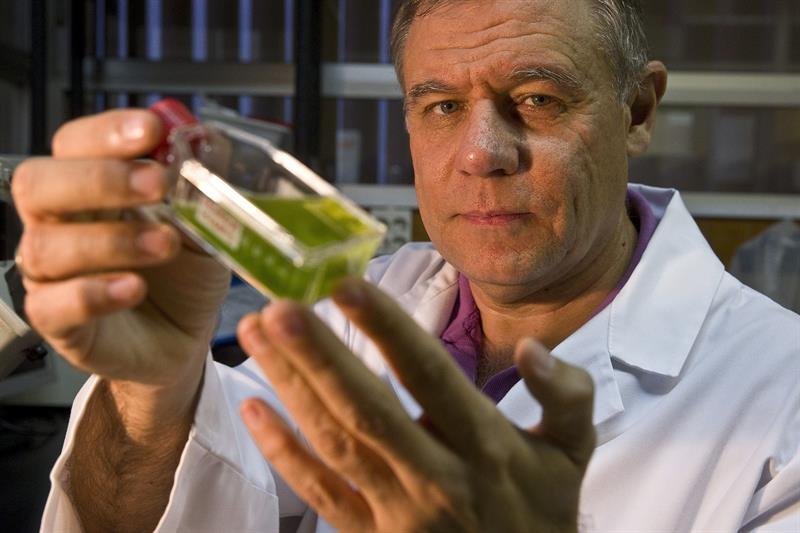  El catedrático de Biologia de la Universidad de Málaga, Antonio Flores, con una de las muestras de algas tóxicas en su laboratorio