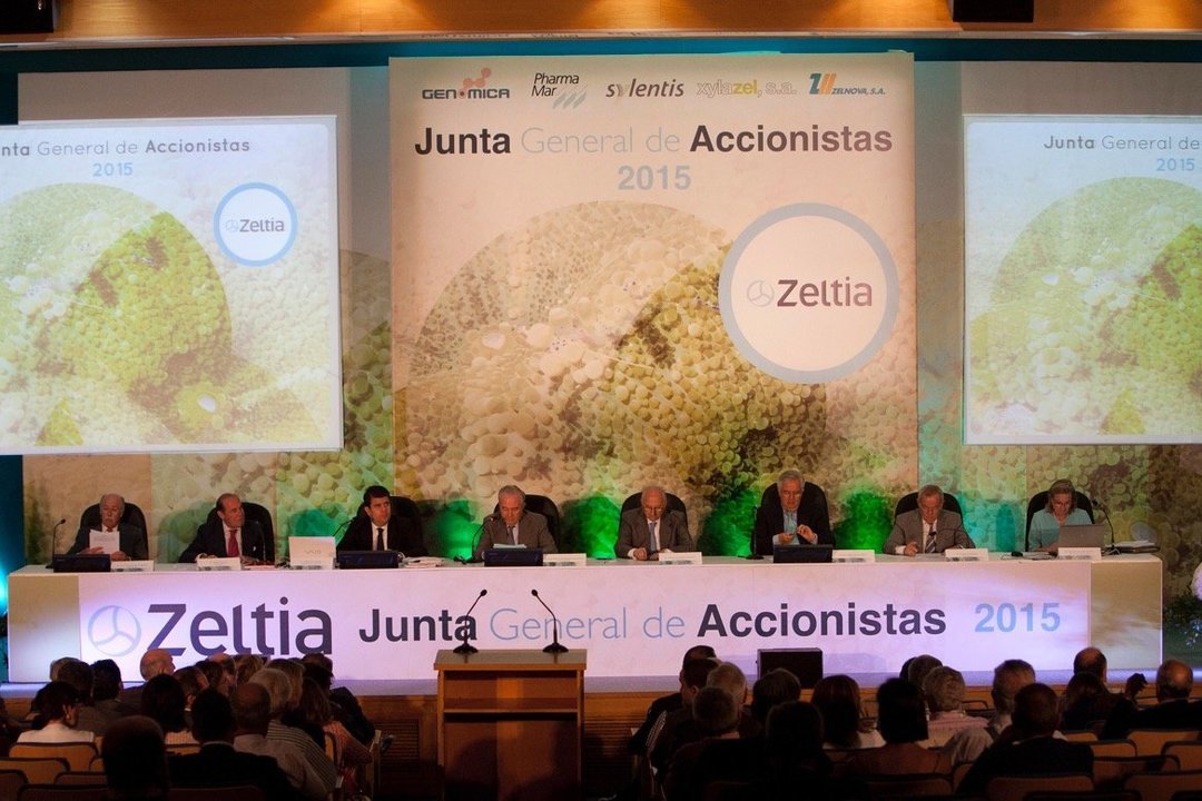La Junta General de Accionistas de Zeltia // Vicente Alonso